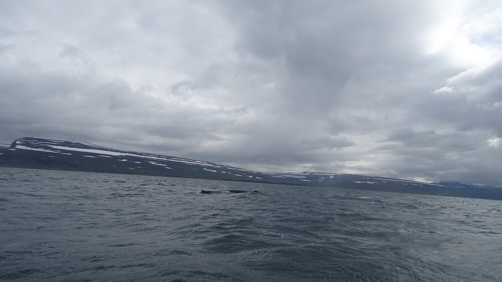 DSC02119.JPG
